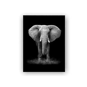 Cuadro Elefante Cuerpo Completo Black 120x90x5cm - Ekonomodo Colombia