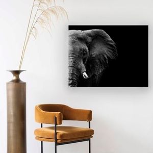 Cuadro Cara de Elefante 50x70x5cm - Ekonomodo Colombia