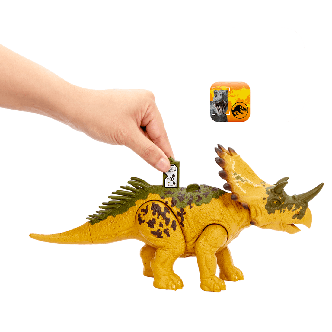 Paco Home Alfombra infantil Jurresic World T-Rex Dinosaur Jungle en verde,  tamaño: 4 pies 7 pulgadas x 6 pies 7 pulgadas