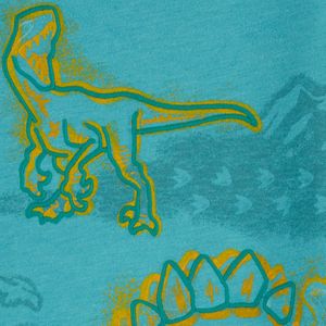 Camiseta Manga Larga Dinosaurios Aguamarina Niños - Carter's