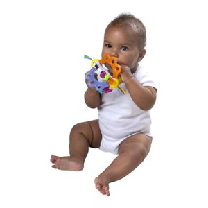 Pelota Exploradora - Playgro