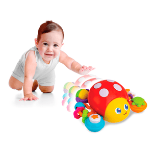 Mariquita de Actividades - Winfun