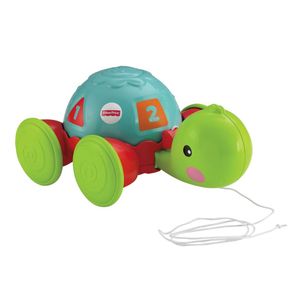 Tortuga de Aprendizaje