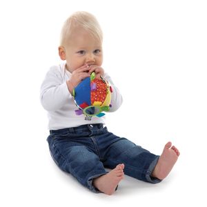 Mi Primer Balón de Juguete - Playgro