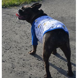 Camiseta para Mascotas