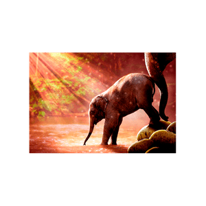 Cuadro Elefante Pequeño Hogar Venecia XL