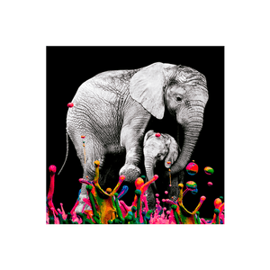 Cuadro Elefante Colores Hogar Venecia S