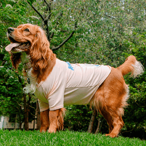 Camiseta Para Mascota Marvel Capitana América