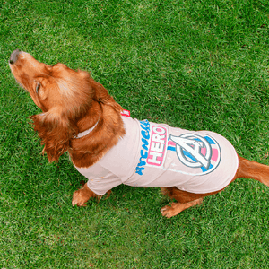 Camiseta Para Mascota Marvel Capitana América