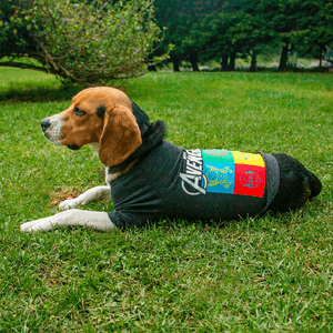Camiseta Para Mascota Marvel Avengers