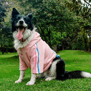 Buso Con Capota Para Mascota Marvel Capitana América