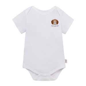 Conjunto largo de body manga corta, buzo cerrado y pantalón de sudadera para recién nacida niña
