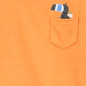 Set 3 Piezas Camiseta Manga Corta Naranja y Shorts Niños - Carter's